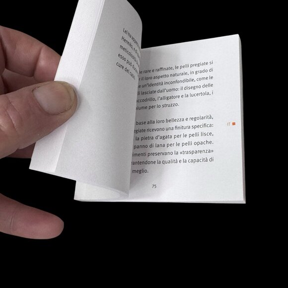 Hermès Les Peaux Précieuses Booklet Leather Guide Care Authentic Card Envelope - Picture 9 of 12